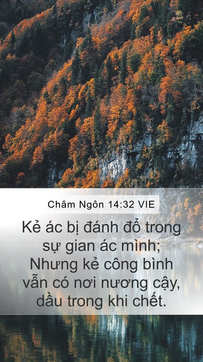 Châm Ngôn 14:32 VIE Mobile Phone Wallpaper - Kẻ ác bị đánh đổ trong sự gian ác - Mobile Bible Verse Wallpaper
