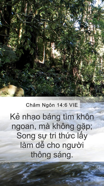 Châm Ngôn 14:6 VIE Bible Verse Image