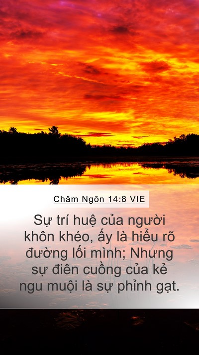 Châm Ngôn 14:8 VIE Bible Verse Image