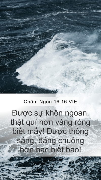 Châm Ngôn 16:16 VIE Bible Verse Image