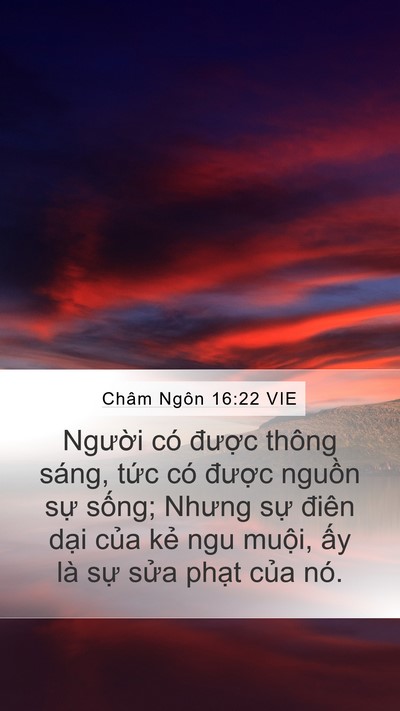 Châm Ngôn 16:22 VIE Bible Verse Image
