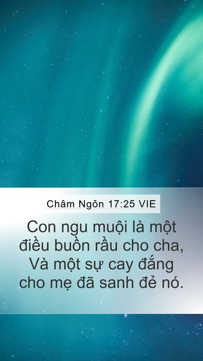 Châm Ngôn 17:25 VIE Bible Verse Image