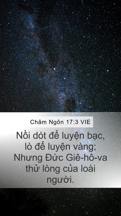 Châm Ngôn 17:3 VIE Bible Verse Image
