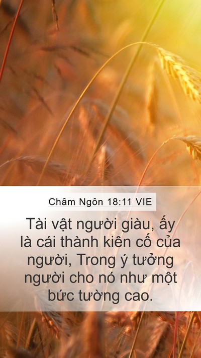 Châm Ngôn 18:11 VIE Mobile Phone Wallpaper - Tài vật người giàu, ấy là cái thành - Mobile Bible Verse Wallpaper