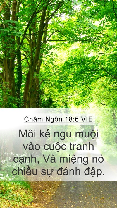 Châm Ngôn 18:6 VIE Bible Verse Image