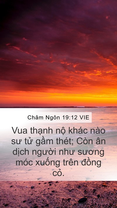 Châm Ngôn 19:12 VIE Bible Verse Image