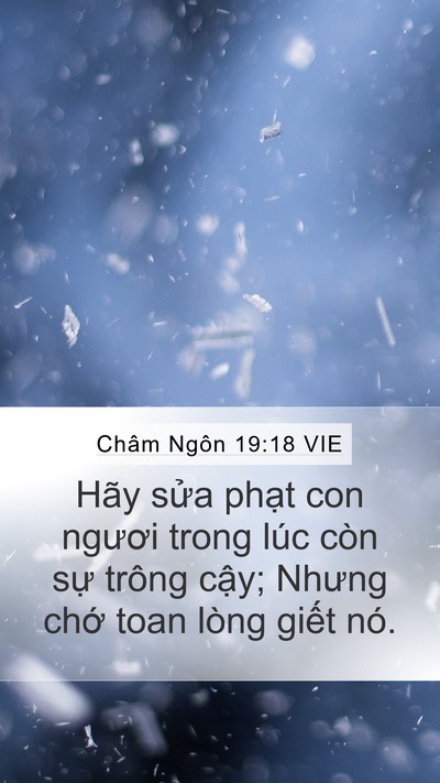 Châm Ngôn 19:18 VIE Bible Verse Image