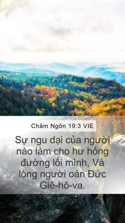 Châm Ngôn 19:3 VIE Bible Verse Image