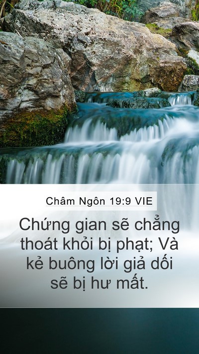 Châm Ngôn 19:9 VIE Bible Verse Image