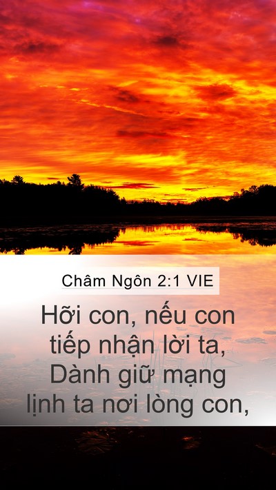 Châm Ngôn 2:1 VIE Bible Verse Image