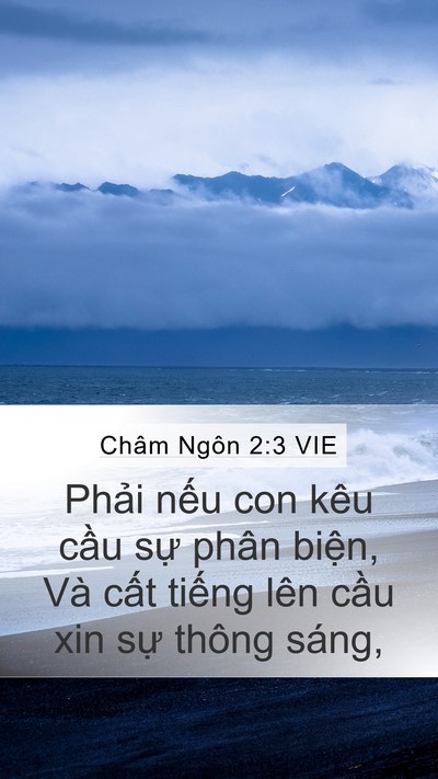 Châm Ngôn 2:3 VIE Bible Verse Image