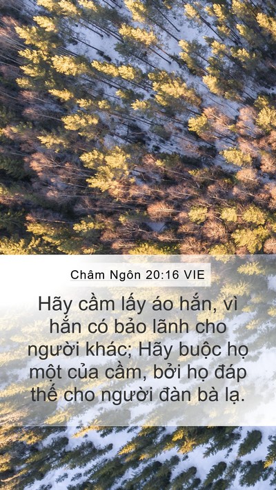 Châm Ngôn 20:16 VIE Bible Verse Image