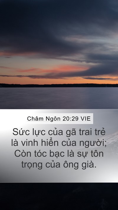Châm Ngôn 20:29 VIE Bible Verse Image