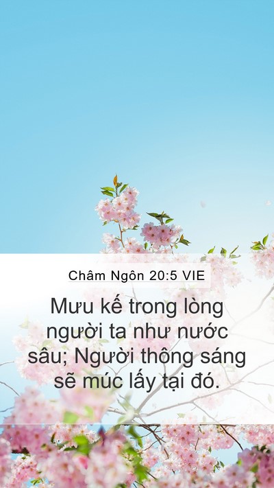 Châm Ngôn 20:5 VIE Bible Verse Image