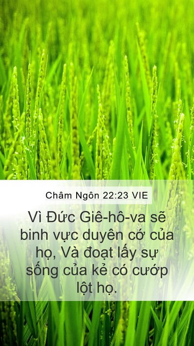 Châm Ngôn 22:23 VIE Bible Verse Image