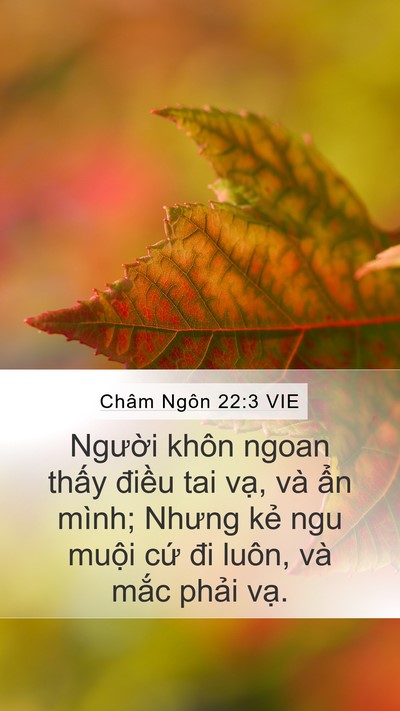 Châm Ngôn 22:3 VIE Bible Verse Image