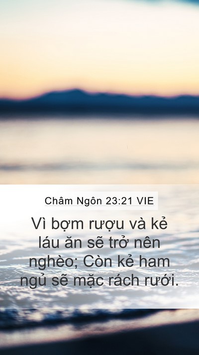 Châm Ngôn 23:21 VIE Bible Verse Image