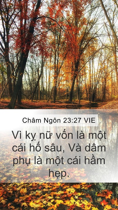 Châm Ngôn 23:27 VIE Bible Verse Image