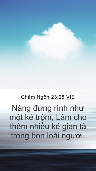 Châm Ngôn 23:28 VIE Mobile Phone Wallpaper - Nàng đứng rình như một kẻ trộm, Làm - Mobile Bible Verse Wallpaper