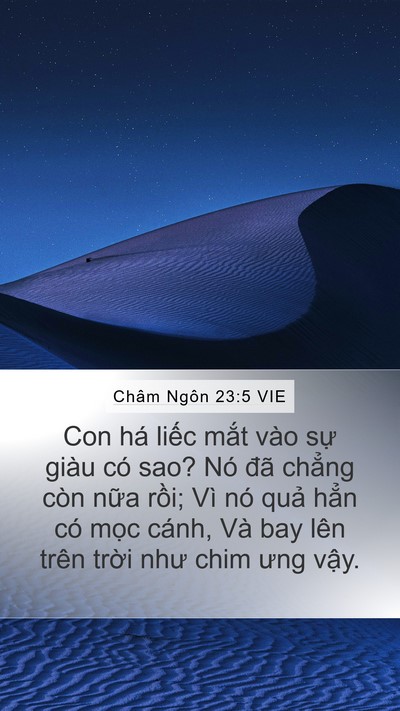 Châm Ngôn 23:5 VIE Mobile Phone Wallpaper - Con há liếc mắt vào sự giàu có sao? Nó - Mobile Bible Verse Wallpaper