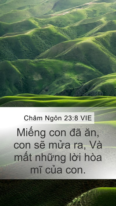 Châm Ngôn 23:8 VIE Mobile Phone Wallpaper - Miếng con đã ăn, con sẽ mửa ra, Và - Mobile Bible Verse Wallpaper