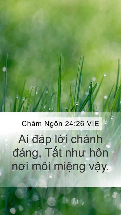 Châm Ngôn 24:26 VIE Bible Verse Image