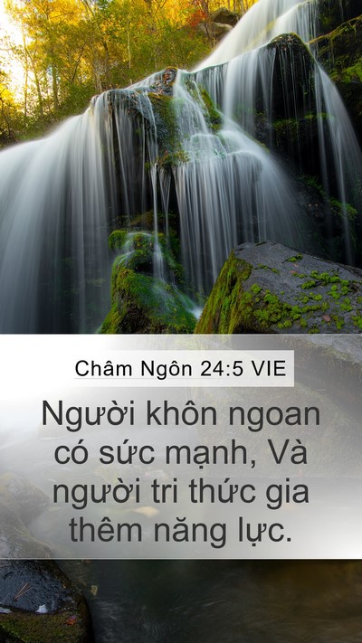 Châm Ngôn 24:5 VIE Mobile Phone Wallpaper - Người khôn ngoan có sức mạnh, Và - Mobile Bible Verse Wallpaper