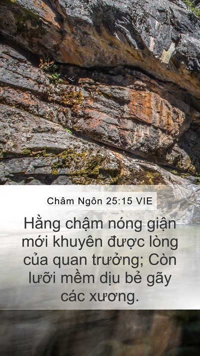 Châm Ngôn 25:15 VIE Bible Verse Image
