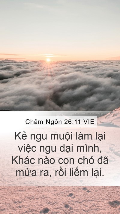 Châm Ngôn 26:11 VIE Bible Verse Image