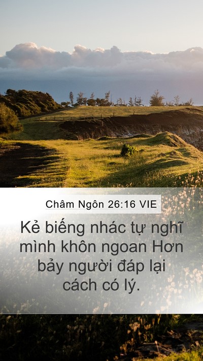 Châm Ngôn 26:16 VIE Bible Verse Image