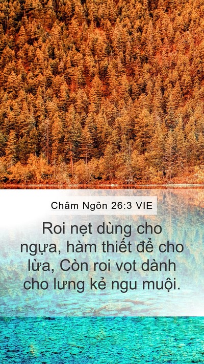 Châm Ngôn 26:3 VIE Bible Verse Image