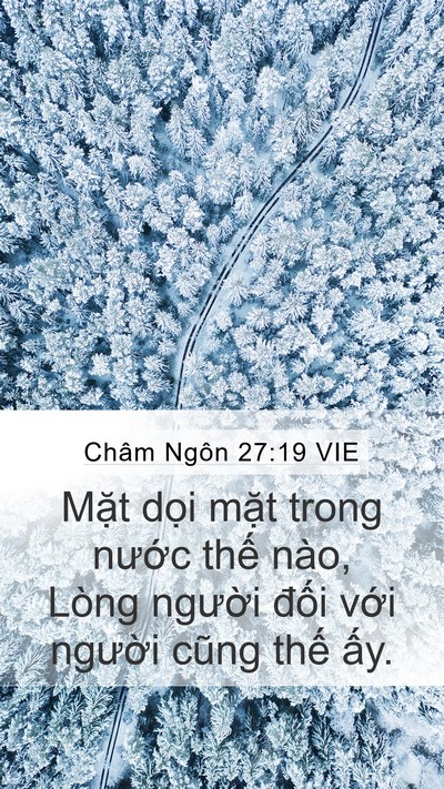 Châm Ngôn 27:19 VIE Mobile Phone Wallpaper - Mặt dọi mặt trong nước thế nào, Lòng - Mobile Bible Verse Wallpaper