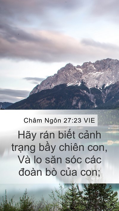 Châm Ngôn 27:23 VIE Bible Verse Image