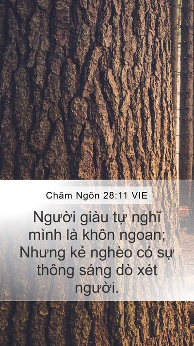 Châm Ngôn 28:11 VIE Bible Verse Image