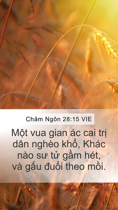 Châm Ngôn 28:15 VIE Bible Verse Image