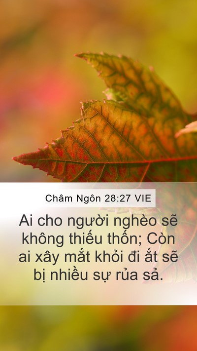 Châm Ngôn 28:27 VIE Mobile Phone Wallpaper - Ai cho người nghèo sẽ không thiếu - Mobile Bible Verse Wallpaper