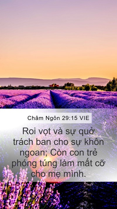Châm Ngôn 29:15 VIE Bible Verse Image