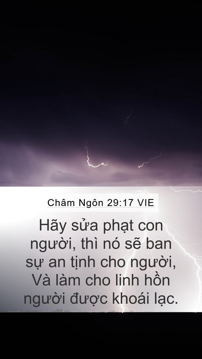 Châm Ngôn 29:17 VIE Bible Verse Image