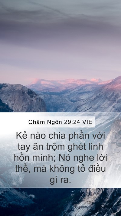Châm Ngôn 29:24 VIE Bible Verse Image