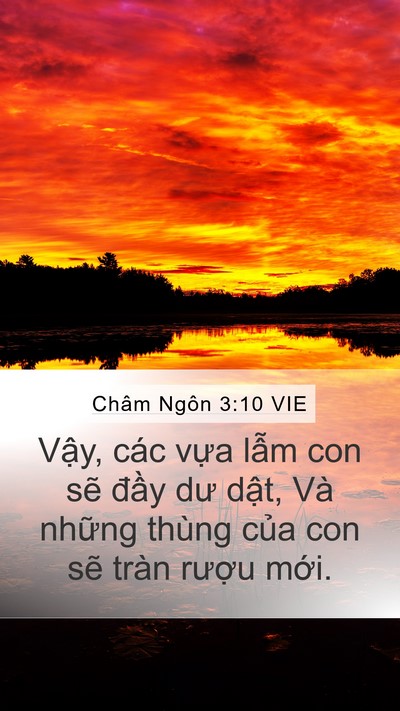 Châm Ngôn 3:10 VIE Bible Verse Image