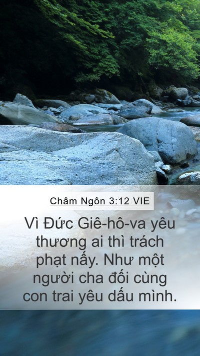 Châm Ngôn 3:12 VIE Bible Verse Image