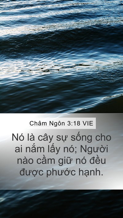 Châm Ngôn 3:18 VIE Bible Verse Image