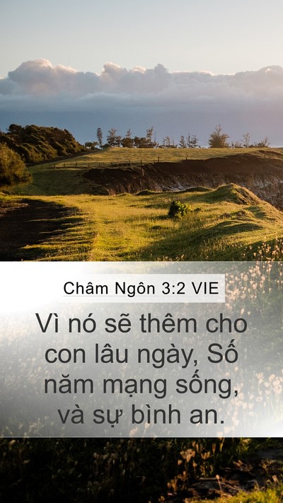 Châm Ngôn 3:2 VIE Bible Verse Image