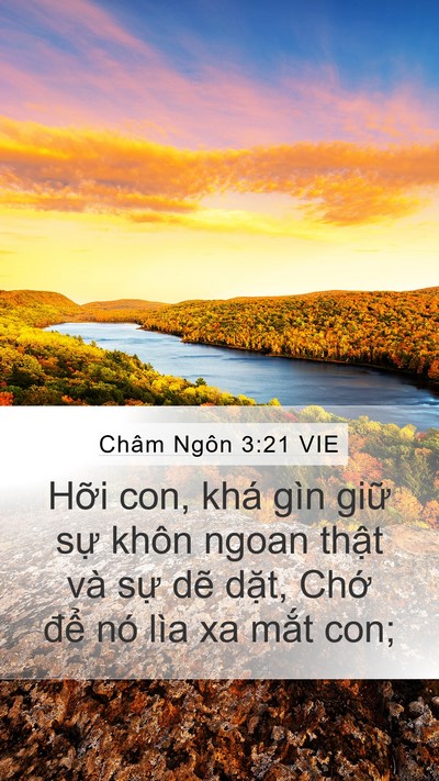 Châm Ngôn 3:21 VIE Bible Verse Image