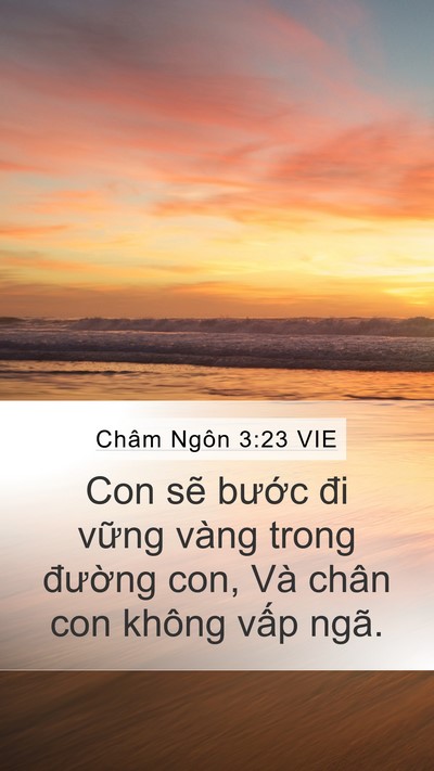 Châm Ngôn 3:23 VIE Bible Verse Image