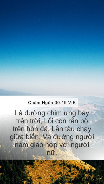 Châm Ngôn 30:19 VIE Mobile Phone Wallpaper - Là đường chim ưng bay trên trời; Lối - Mobile Bible Verse Wallpaper