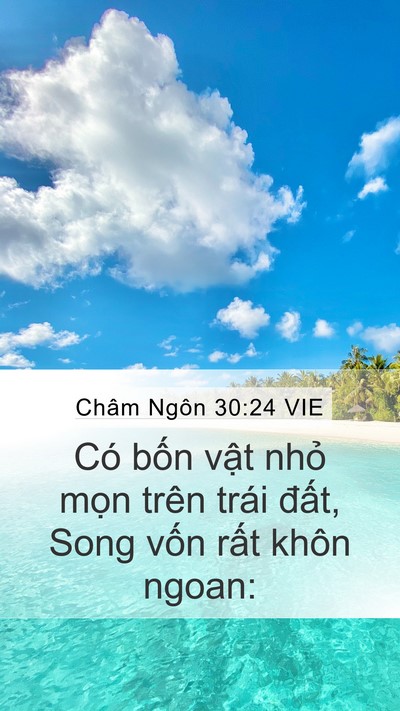 Châm Ngôn 30:24 VIE Bible Verse Image