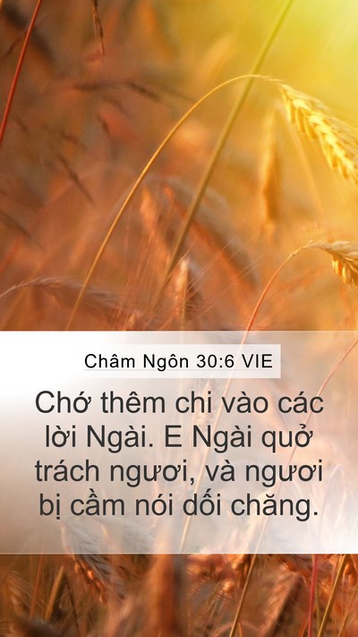 Châm Ngôn 30:6 VIE Bible Verse Image