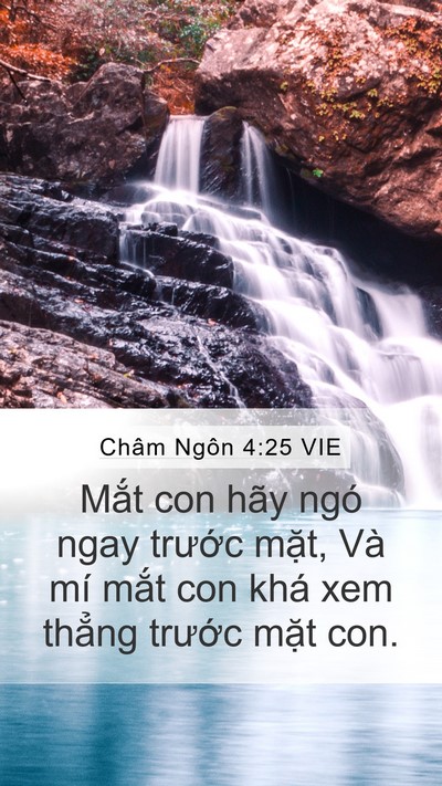 Châm Ngôn 4:25 VIE Bible Verse Image