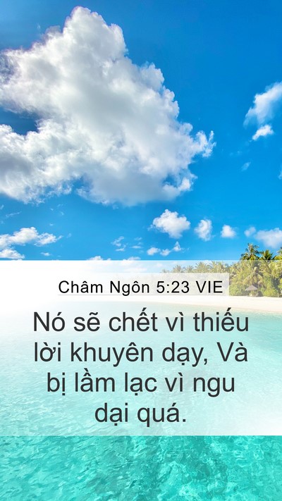Châm Ngôn 5:23 VIE Bible Verse Image